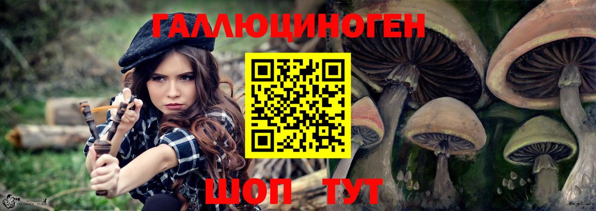 Галлюциногенные грибы MAGIC MUSHROOMS  Вход с VPN  Тверь 